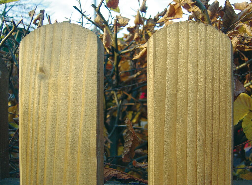 Stakettenzaunbretter Allendorf grün